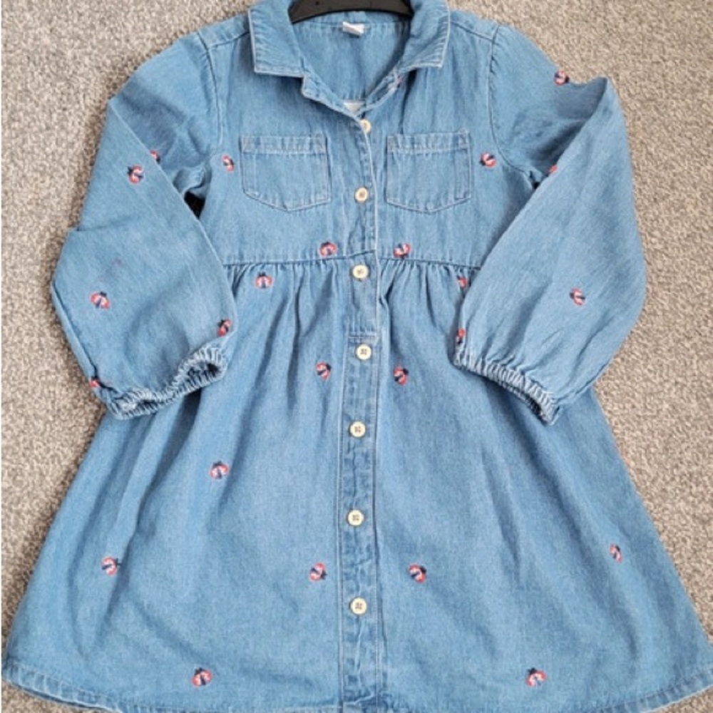 Charming Kids Denim Dress with Embroidered Accents